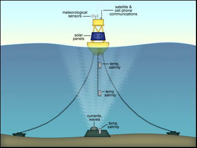 Buoy Images