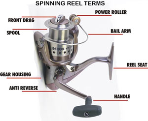 Saltwater Fishing Rods and Reels at